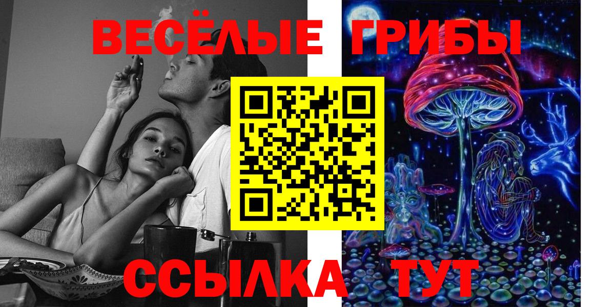 Псилоцибиновые грибы Cubensis Канаш